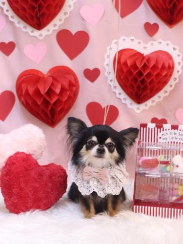 20240224アリューくん